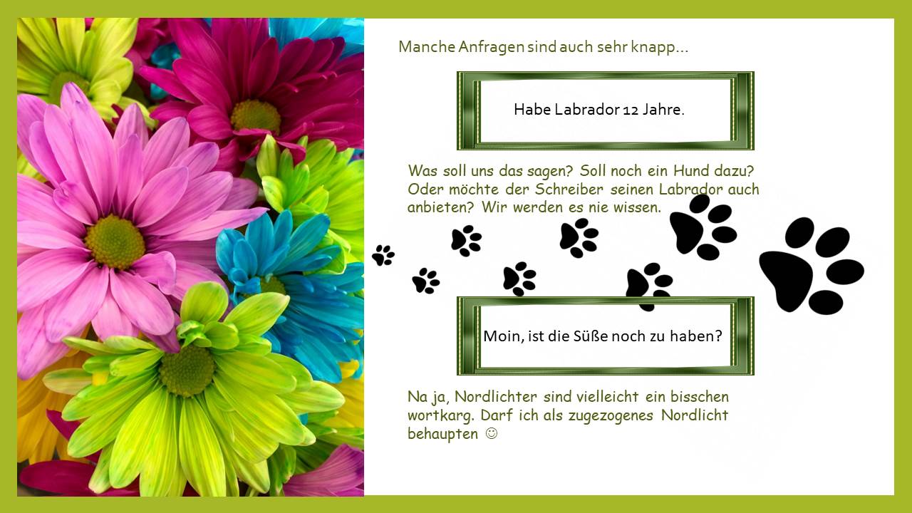 folie1093A00DAB-7A86-2FD5-E0DC-97B873B69332.jpg