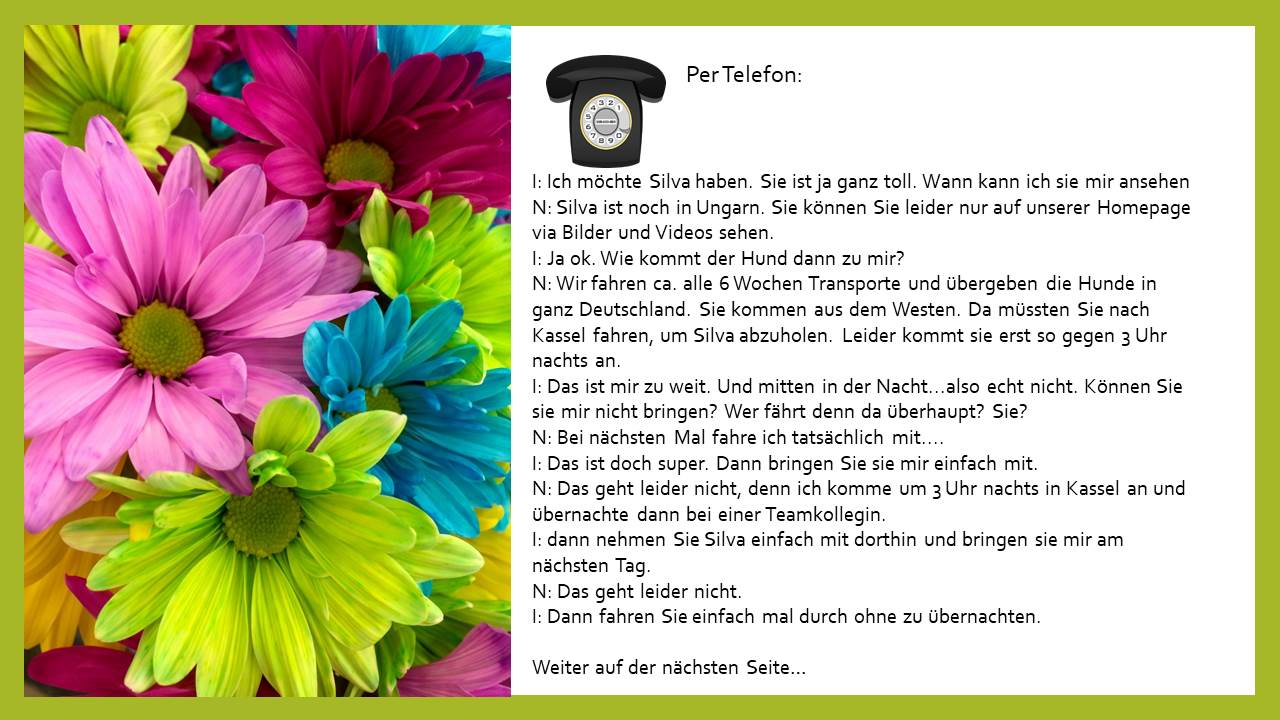 folie5A3ADB02A-CE6C-938A-EBA7-BF383C4D4A80.jpg
